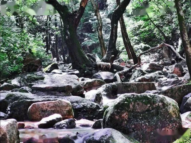 旋转螺旋塔